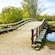 A wooden bridge crosses a calm pond by a field with trees